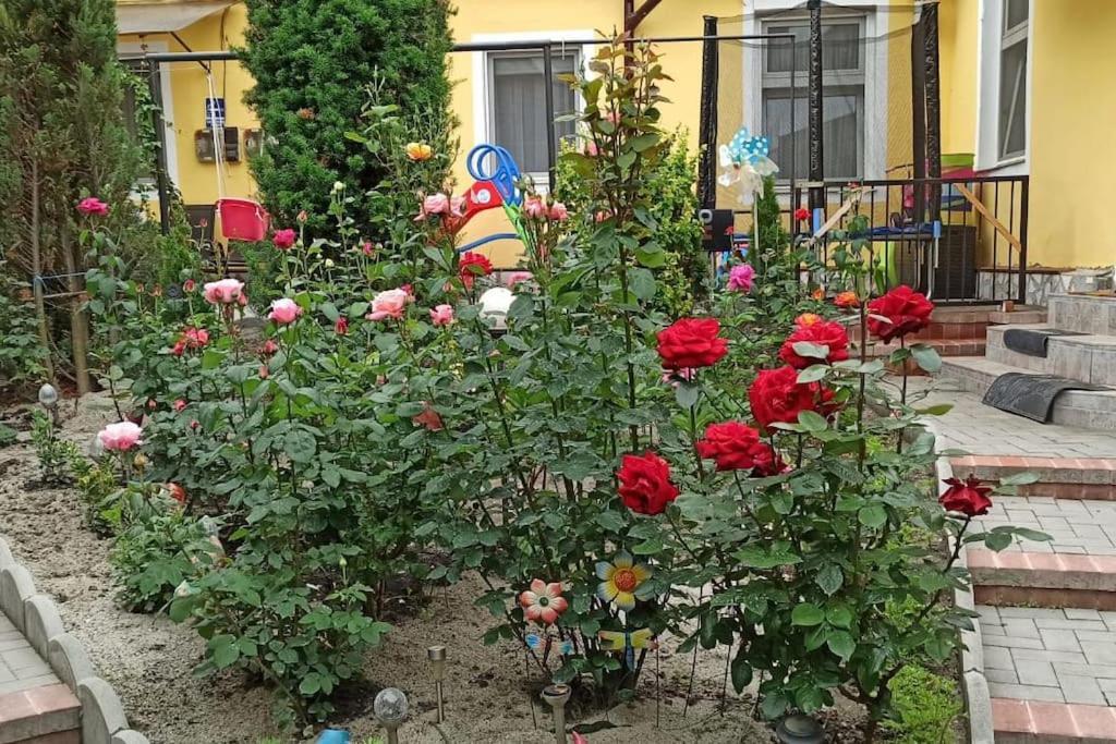 Color Home Hermannstadt 1 Buitenkant foto