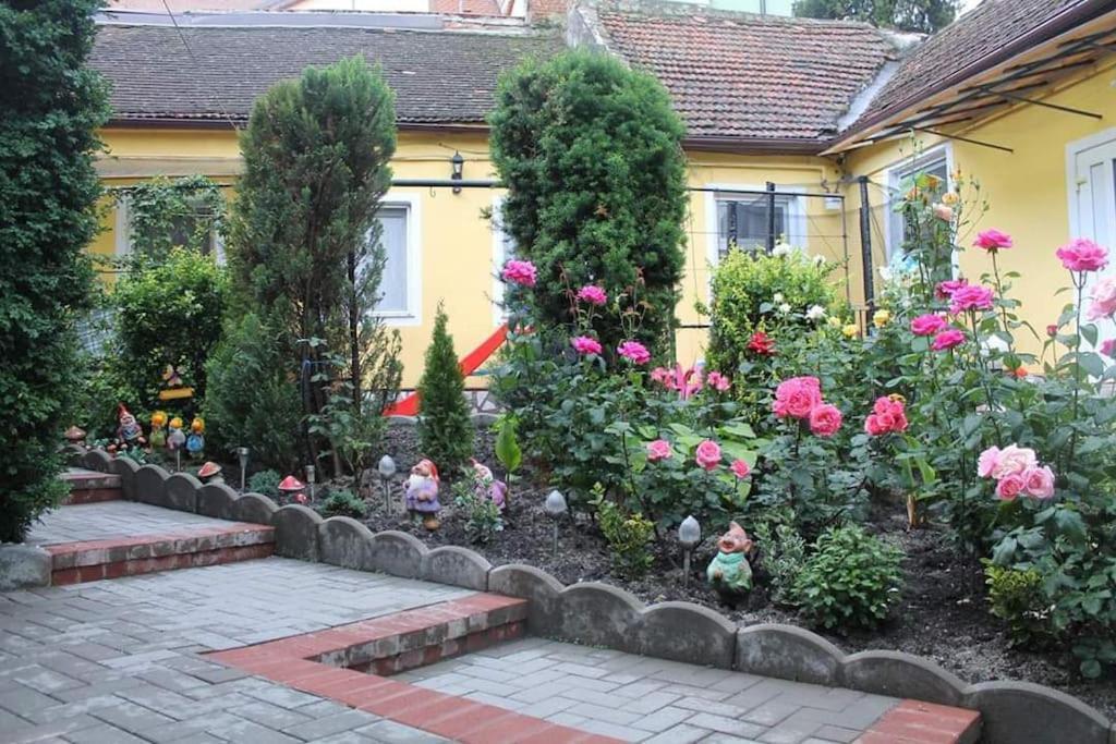 Color Home Hermannstadt 1 Buitenkant foto